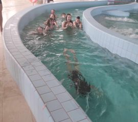 387542225_649053100677651_8885136197192038935_n