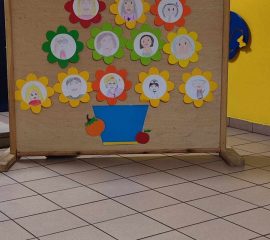 391679848_779602717303966_2616123475451904699_n