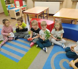 400427408_351467284223201_3408573010681064924_n