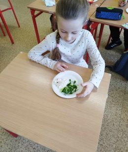 432380397_308458048940595_1537424789210270180_n