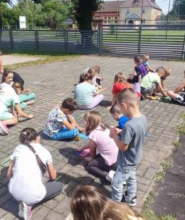 446996946_911969024067334_4369372106543469119_n