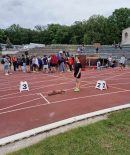 447502984_1224503012241767_4489741051780038478_n